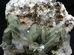 Anatase and Chlorite Quartz - Pakistan #38661-1